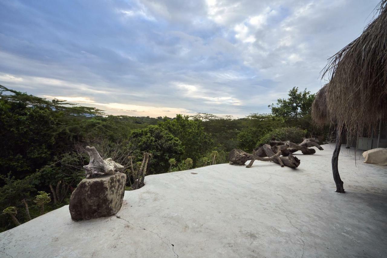 Hillside Retreat - Africa Amini Life Villa Usa River Eksteriør billede